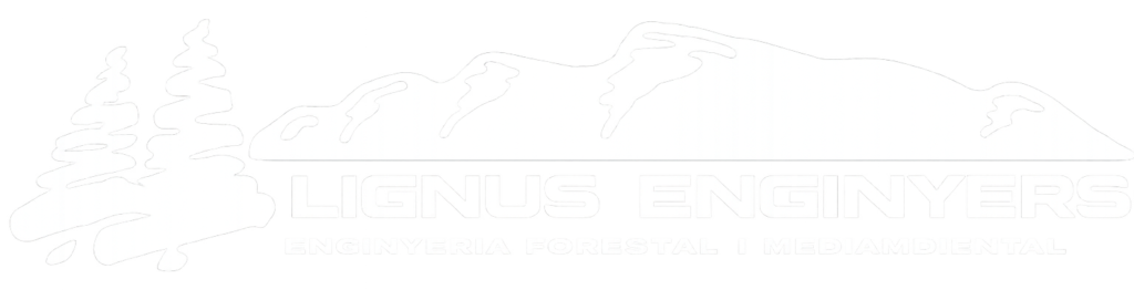 LIGNUS ENGINYERS